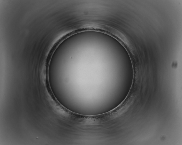 X0000101390984200807141128