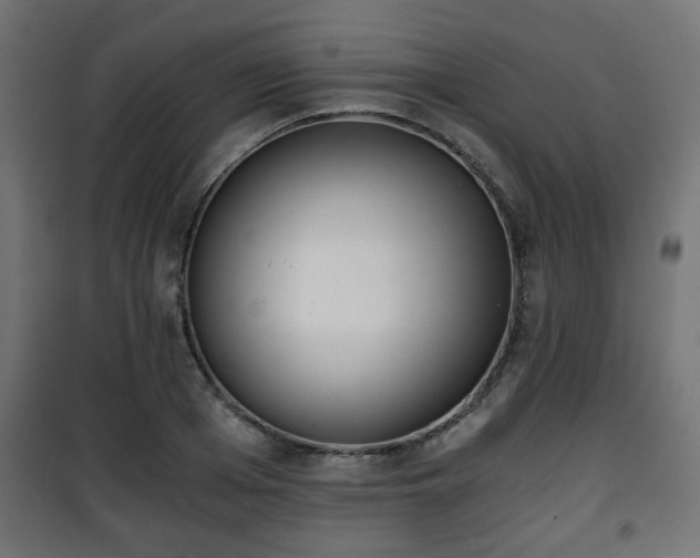 X0000101390985200807141128