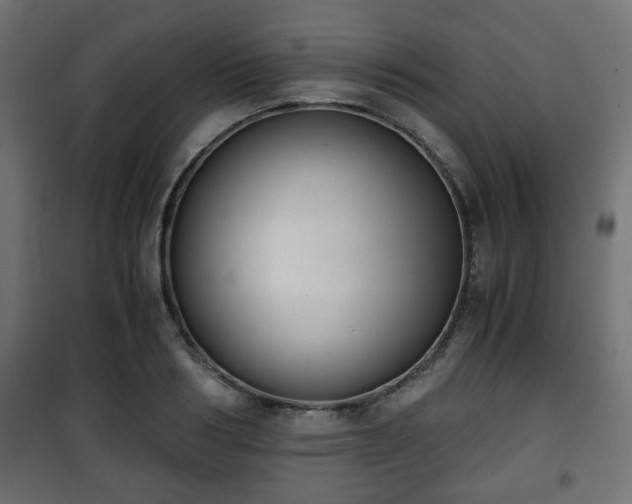 X0000101390986200807141128