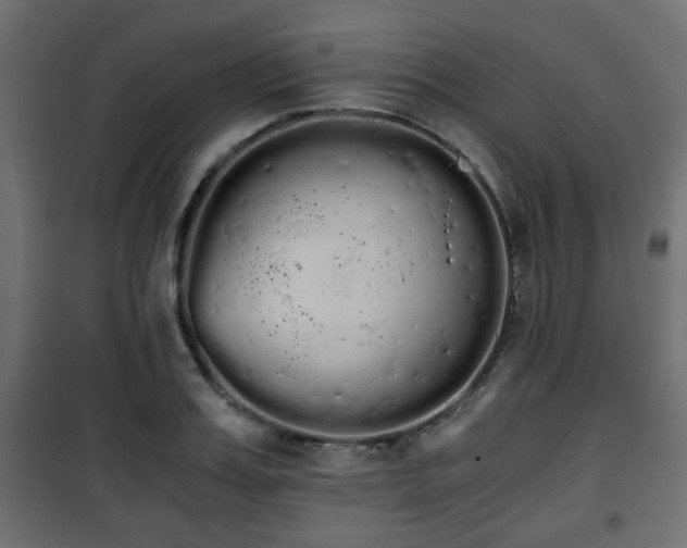 X0000101390987200807141128