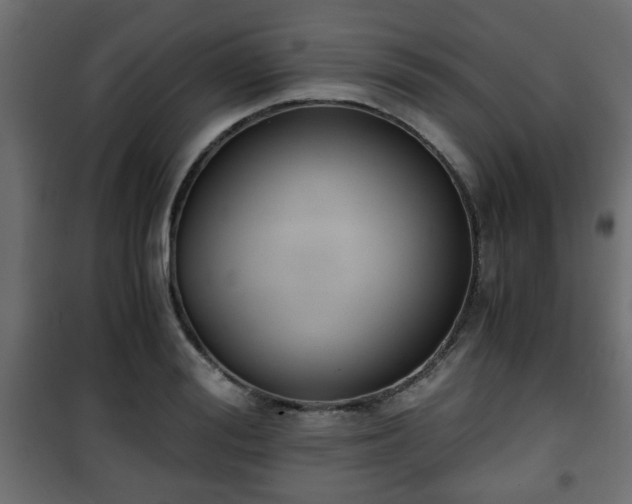 X0000101390988200807141128