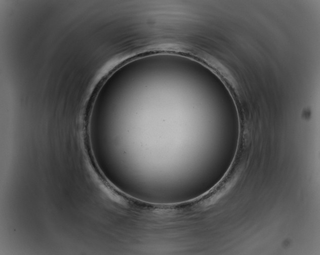 X0000101390989200807141128