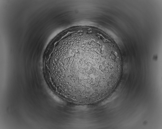 X0000101390990200807141128