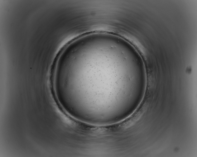 X0000101390991200807141128