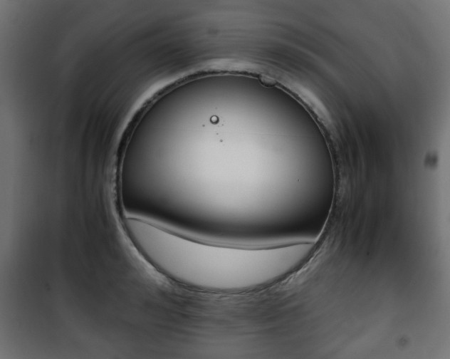 X0000101390992200807141128