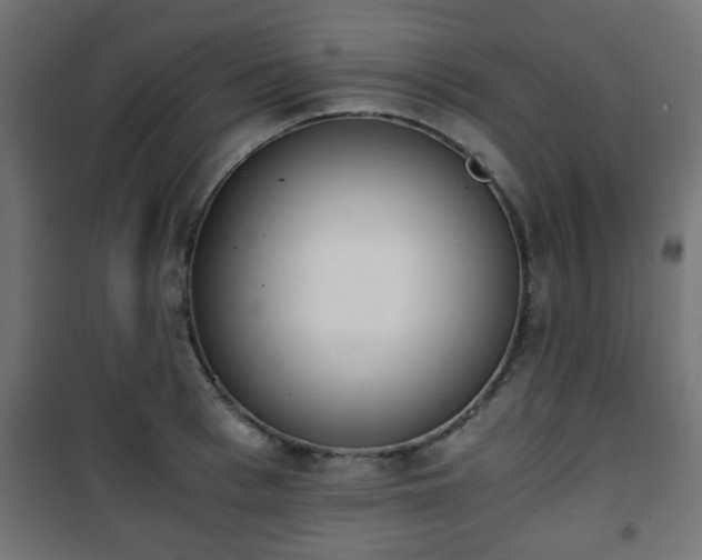 X0000101390993200807141128