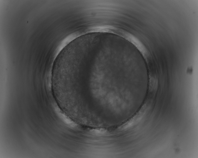 X0000101390994200807141128