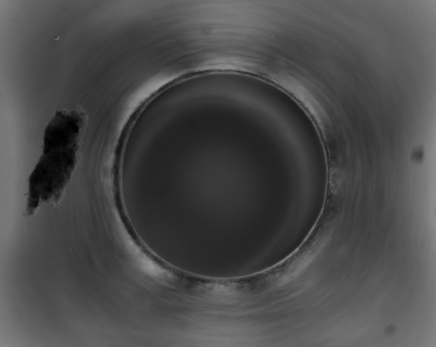 X0000101390995200807141128