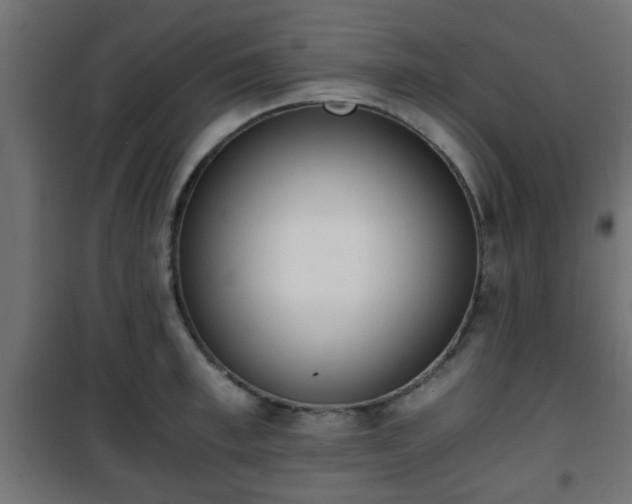 X0000101390997200807141128