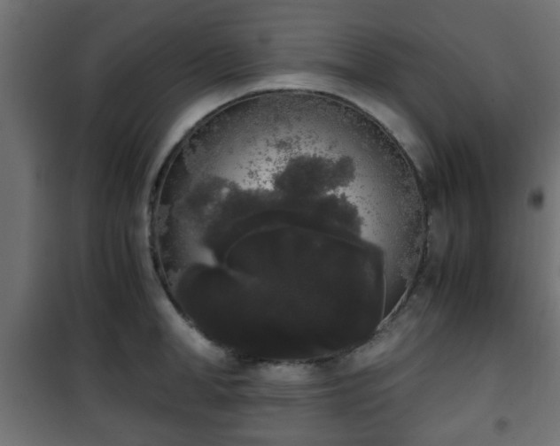 X0000101390998200807141128