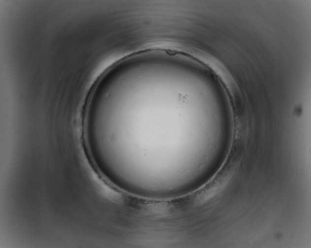 X0000101390999200807141128