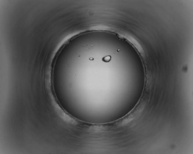 X0000101391000200807141128