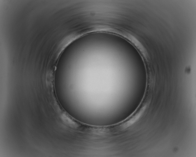 X0000101391001200807141128