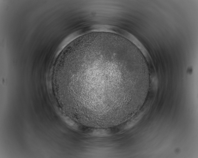 X0000101391002200807141128