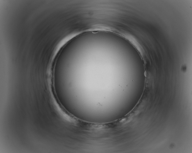 X0000101391003200807141128