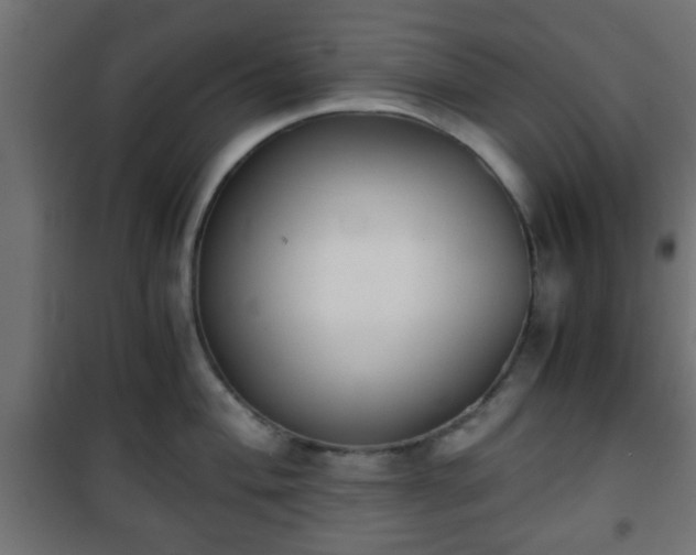 X0000101391004200807141128