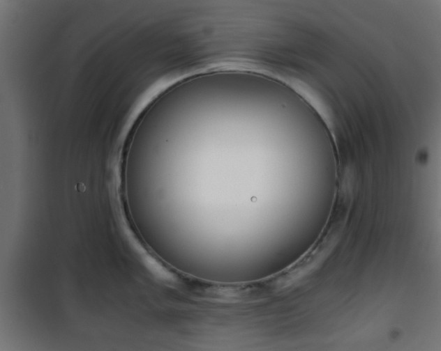 X0000101391005200807141128