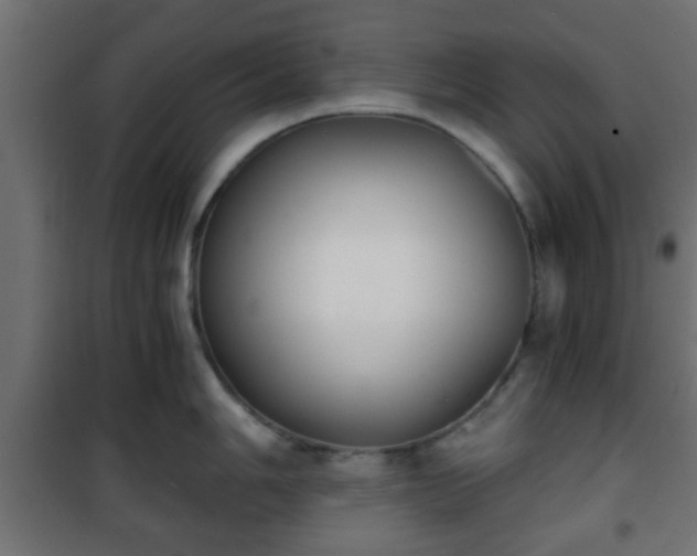 X0000101391006200807141128