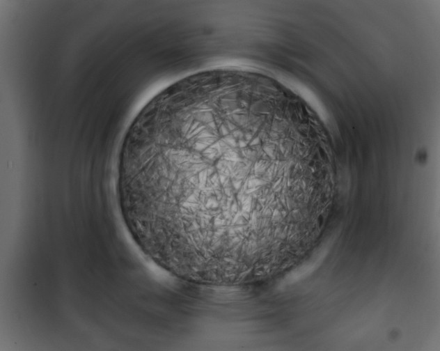X0000101391007200807141128
