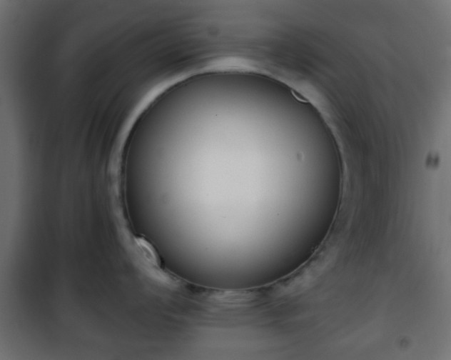 X0000101391008200807141128