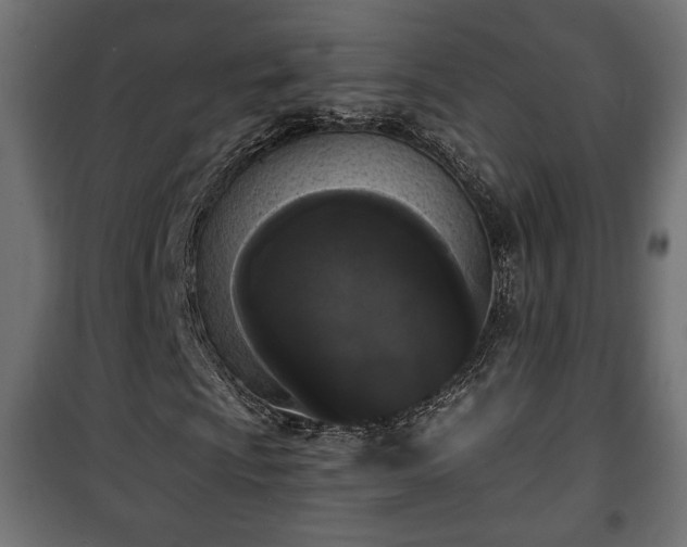 X0000101391009200807141127