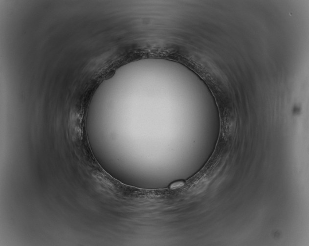 X0000101391010200807141127