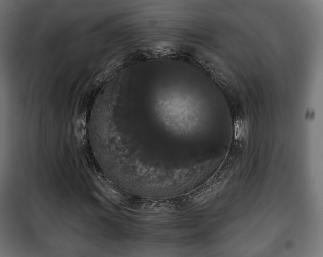 X0000101391011200807141127