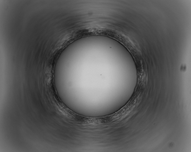 X0000101391012200807141127