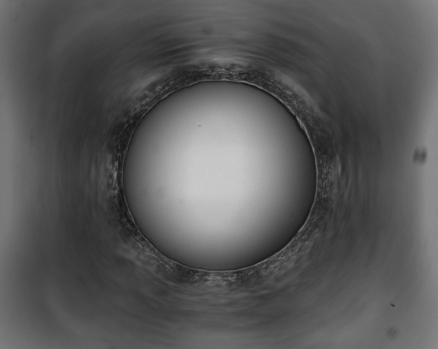 X0000101391013200807141127