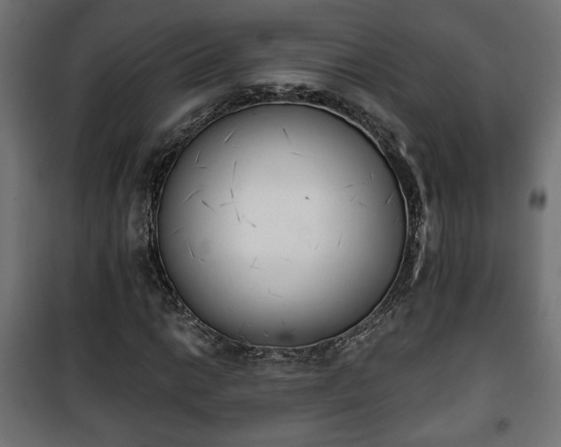 X0000101391014200807141127