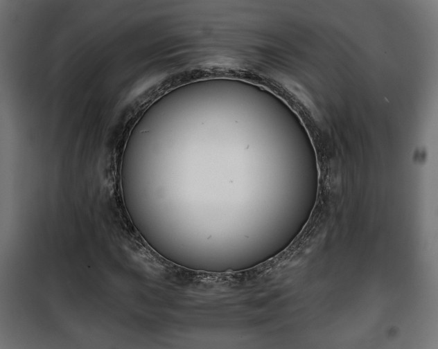 X0000101391015200807141127