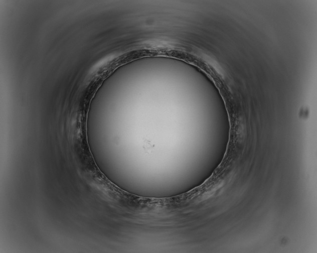 X0000101391016200807141127