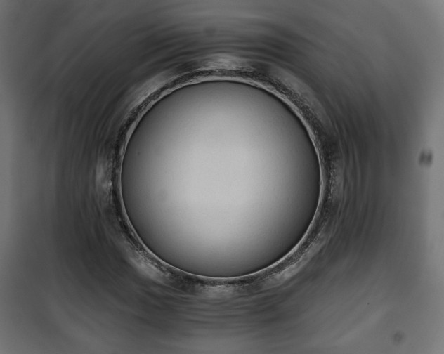 X0000101391017200807141127