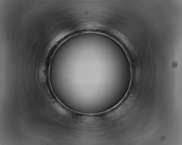 X0000101391018200807141127