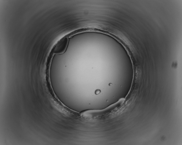 X0000101391020200807141127