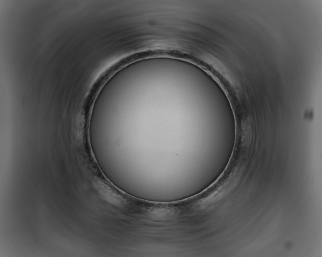 X0000101391021200807141127