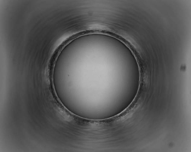 X0000101391022200807141127