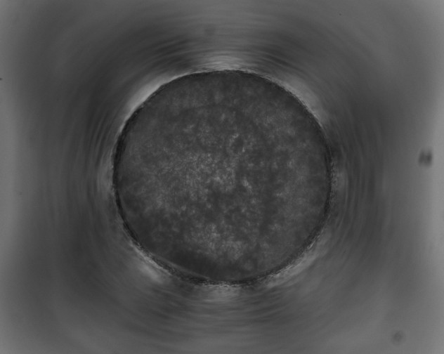 X0000101391023200807141127