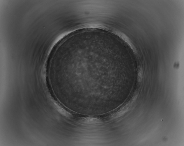 X0000101391024200807141127