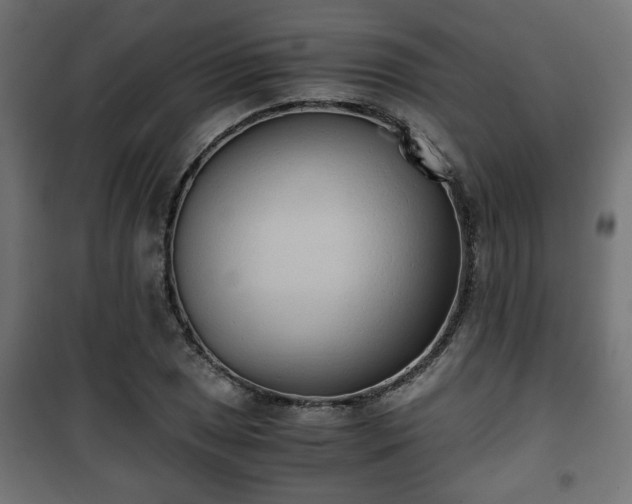 X0000101391025200807141127