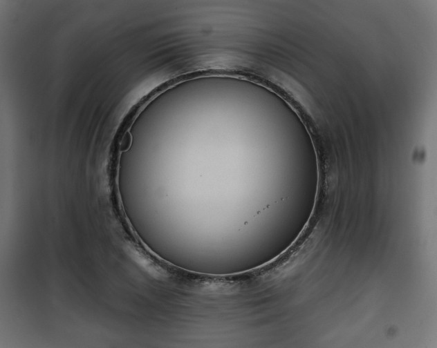 X0000101391026200807141127