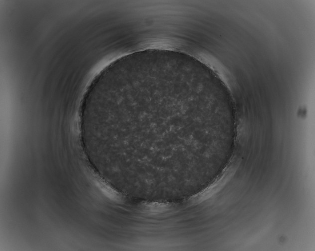 X0000101391027200807141127