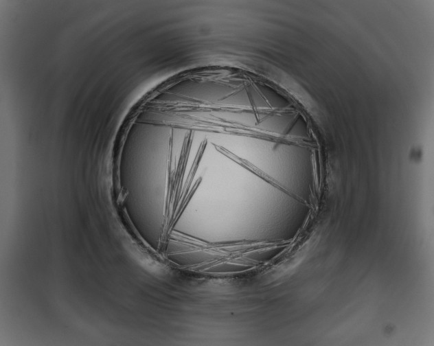 X0000101391028200807141127