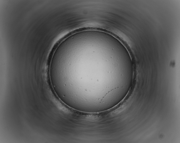 X0000101391029200807141128