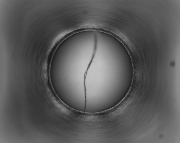 X0000101391030200807141128