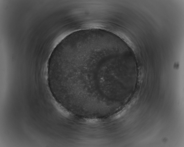 X0000101391031200807141128