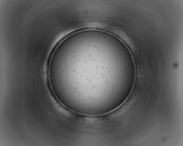 X0000101391032200807141128