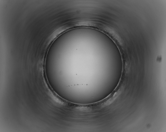 X0000101391033200807141128