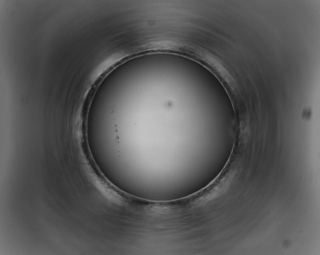 X0000101391034200807141128