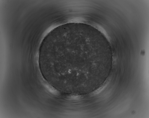 X0000101391035200807141128